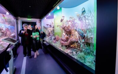 Fotograf NUNTA Adrian Vasile 0101