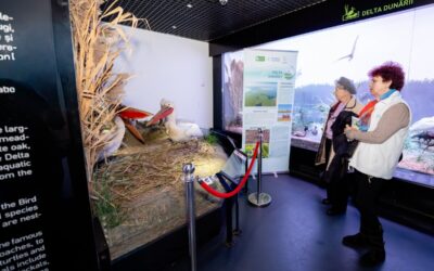 Fotograf NUNTA Adrian Vasile 0106