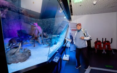 Fotograf NUNTA Adrian Vasile 0108