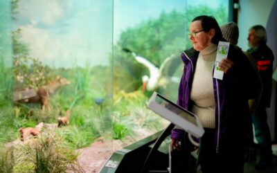 Fotograf NUNTA Adrian Vasile 0116