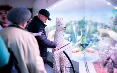 Fotograf NUNTA Adrian Vasile 0142