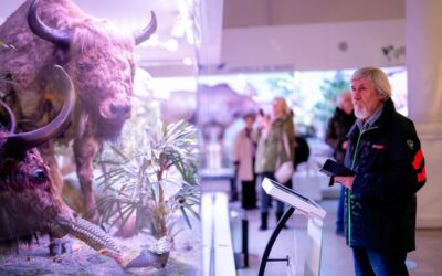 Fotograf NUNTA Adrian Vasile 0156